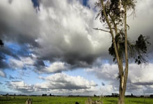 0-3！不敌欧洲冠军，国乒19岁小将一轮游，林高远成上半区独苗.